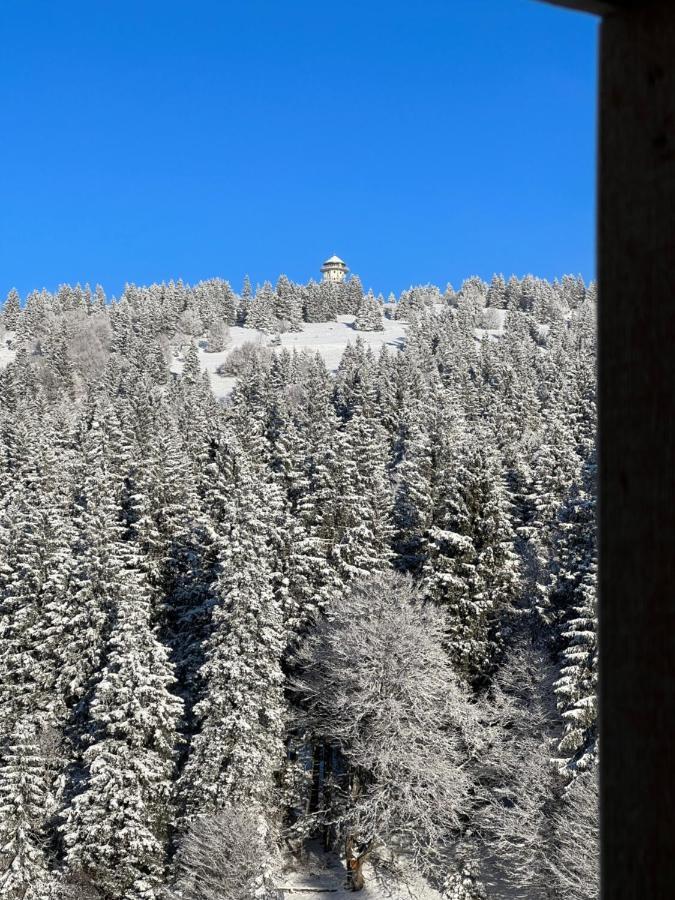 Haus Wiesenquelle, Deluxe-Apartment 'Feld & Berg' Feldberg  Buitenkant foto